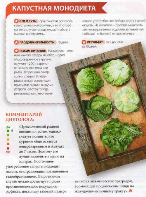 Монодиеты