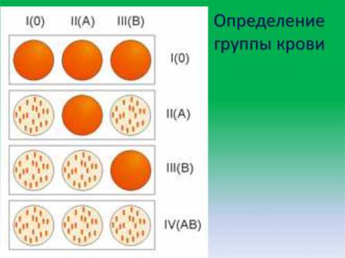 В, хоть и редко, но может помешать нормальному течению беременности и даже кормлению ребенка