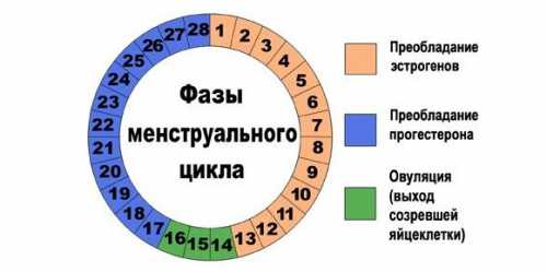 Считать следует каждый месяц, для чего нужно завести себе карманный календарик и там отмечать первый день появления кровянистых выделений