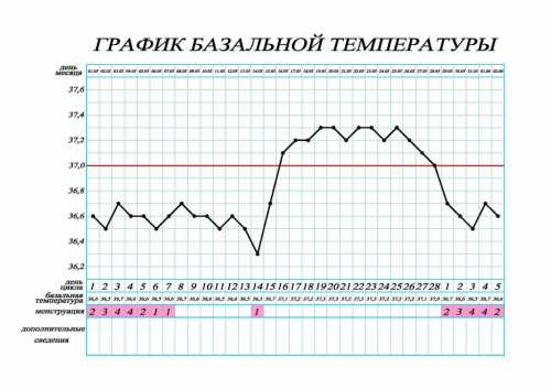Тэшки для новичков