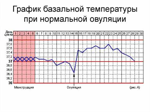 Я задала вопрос своему