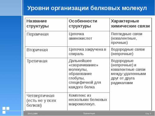 Уровни организации белков