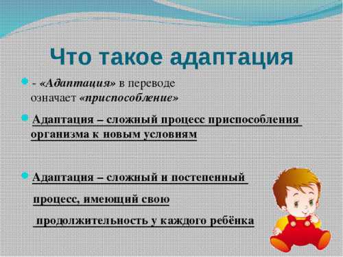 Что такое адаптация Что такое адаптация