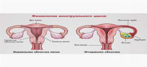 Пить треть стакана трижды