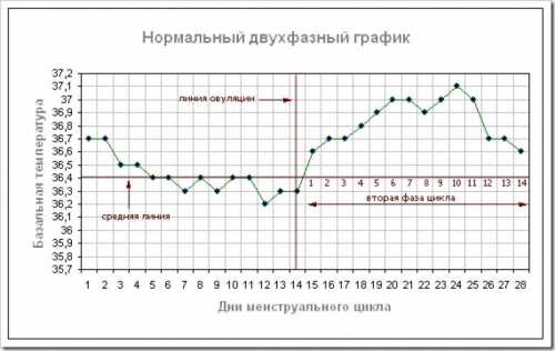 Изза этого и возникает боль после месячных