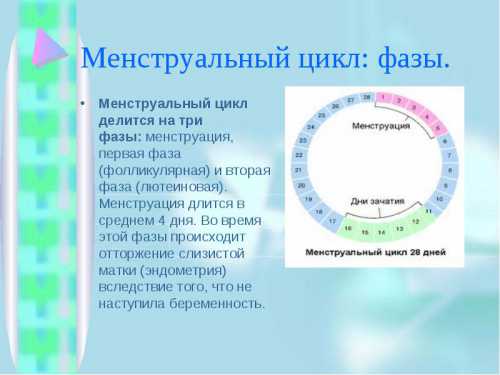 Лютеиновая фаза какой день цикла