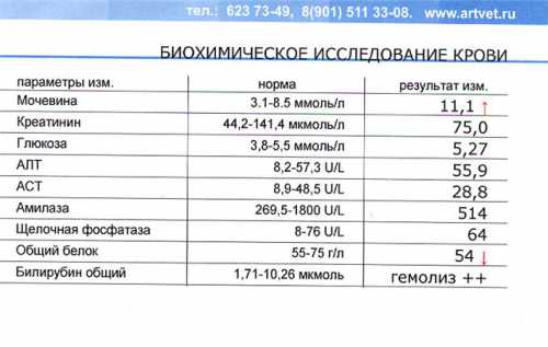 Если результаты анализа