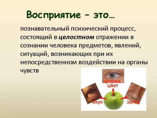 Восприятие это
