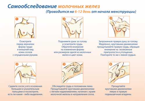 Перед менструацией может ли болеть грудь