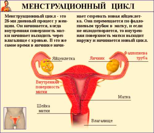 Не стоит пренебрегать проверкой, даже если пара предохранялась, ведь ни один из методов контрацепции не гарантирует защиты