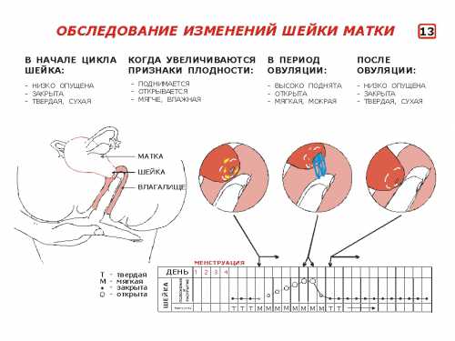 Первое, что приходит на ум, когда в ожидаемый день выделения не появились это наступление беременности