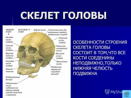 Возникает изза нарушения обмена веществ