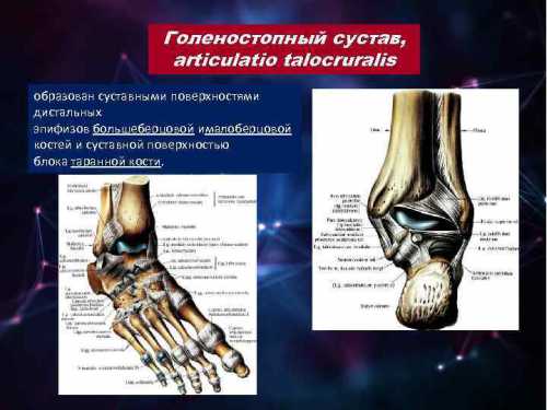 Сдавление нервных волокон изза патологических изменений поясничного отдела позвоночного столба грыжа, выраженный остеохондроз