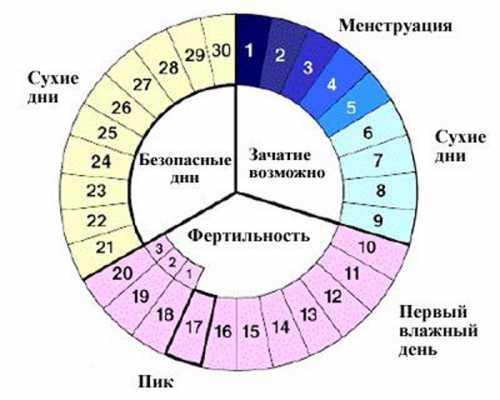 Пятый день менструального цикла что это